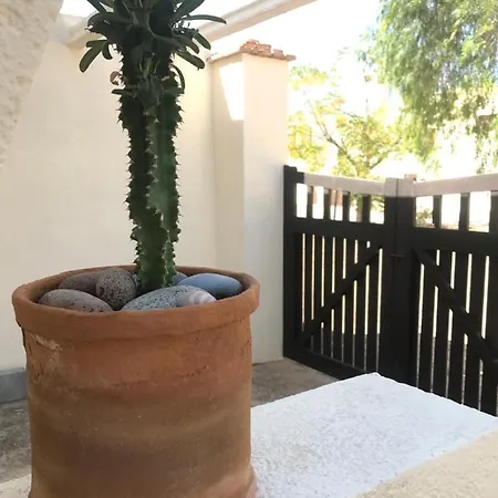 La Chumbera